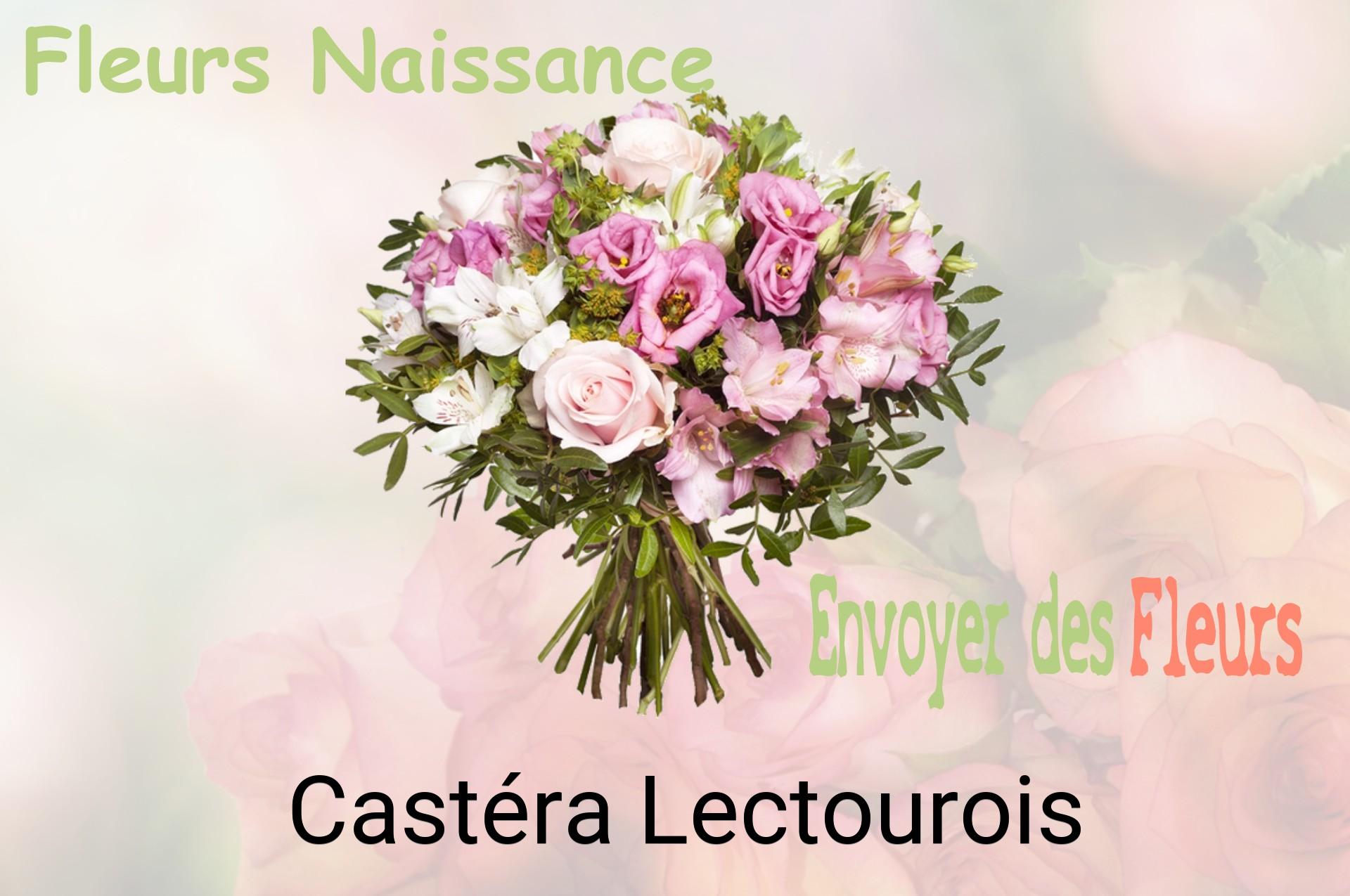 Bouquet de fleurs de naissance livré à Castéra-Lectourois